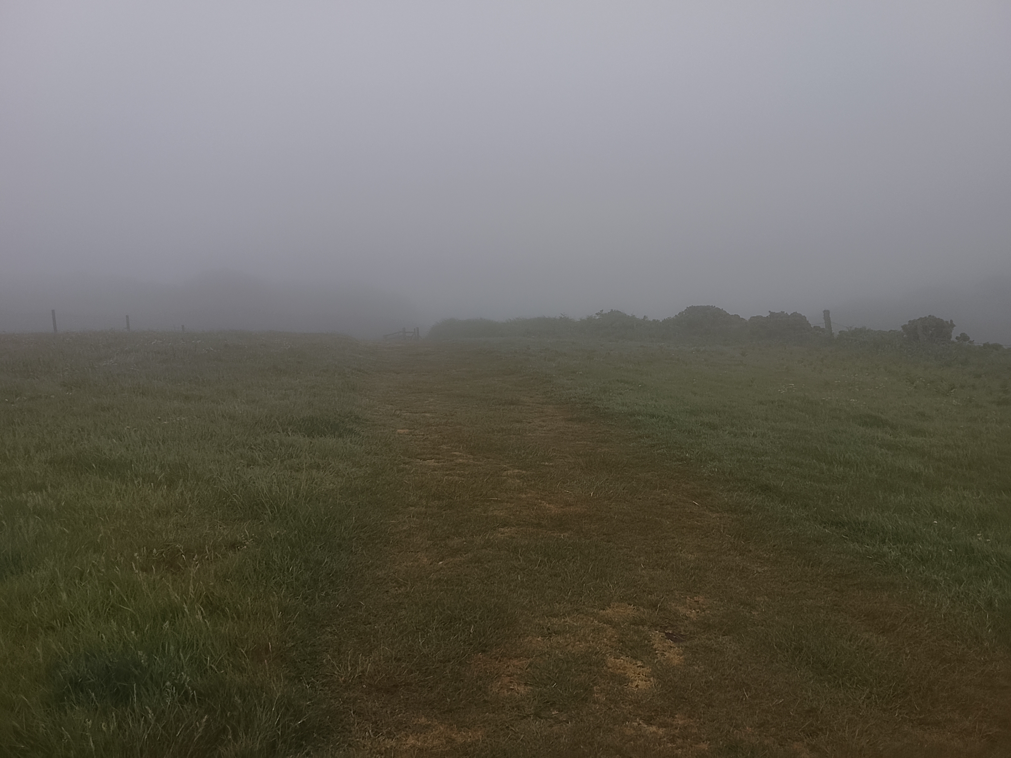 2026_06_01_Foggy_SP