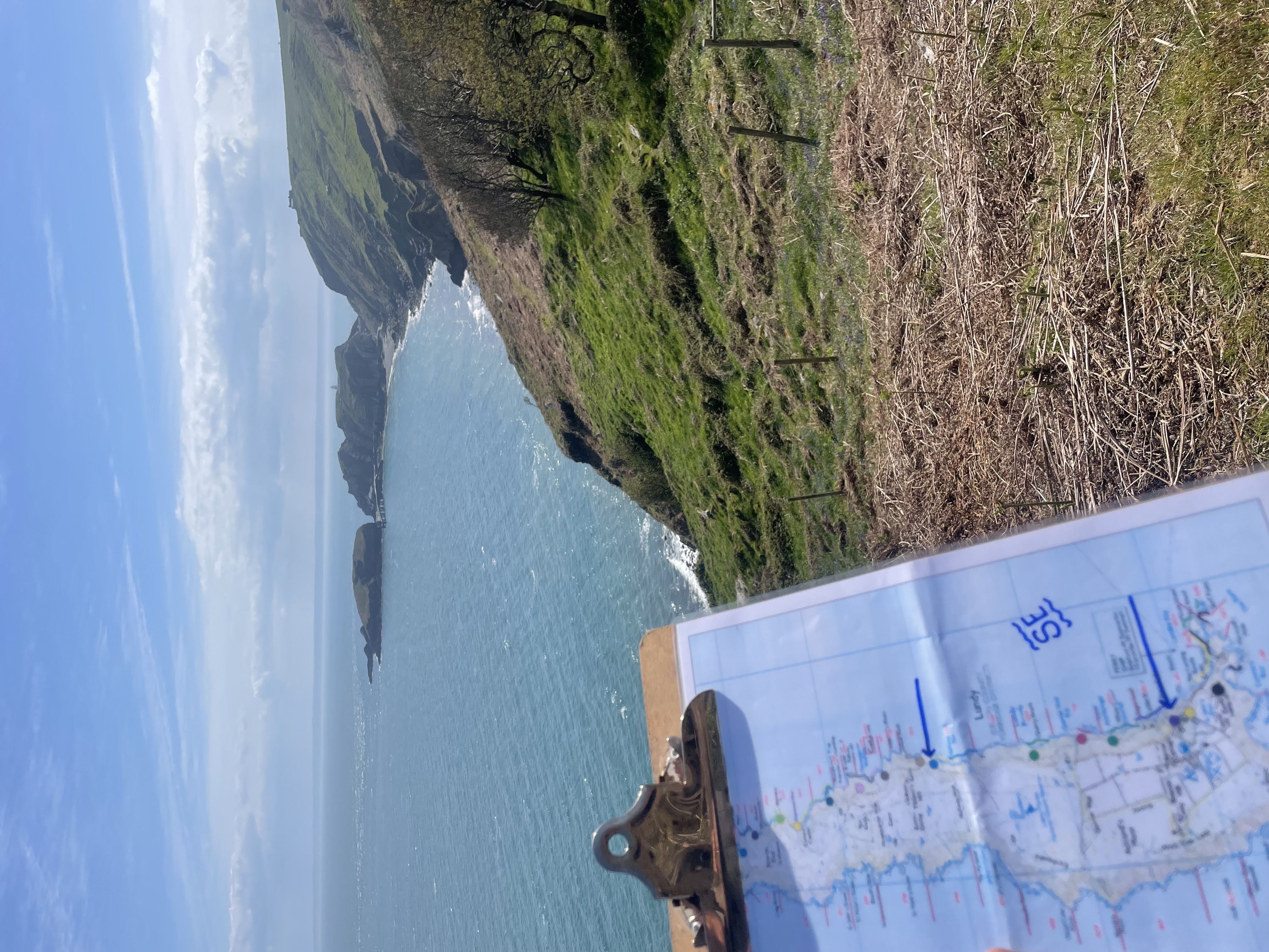 2026 04 20 Seal Survey TMW