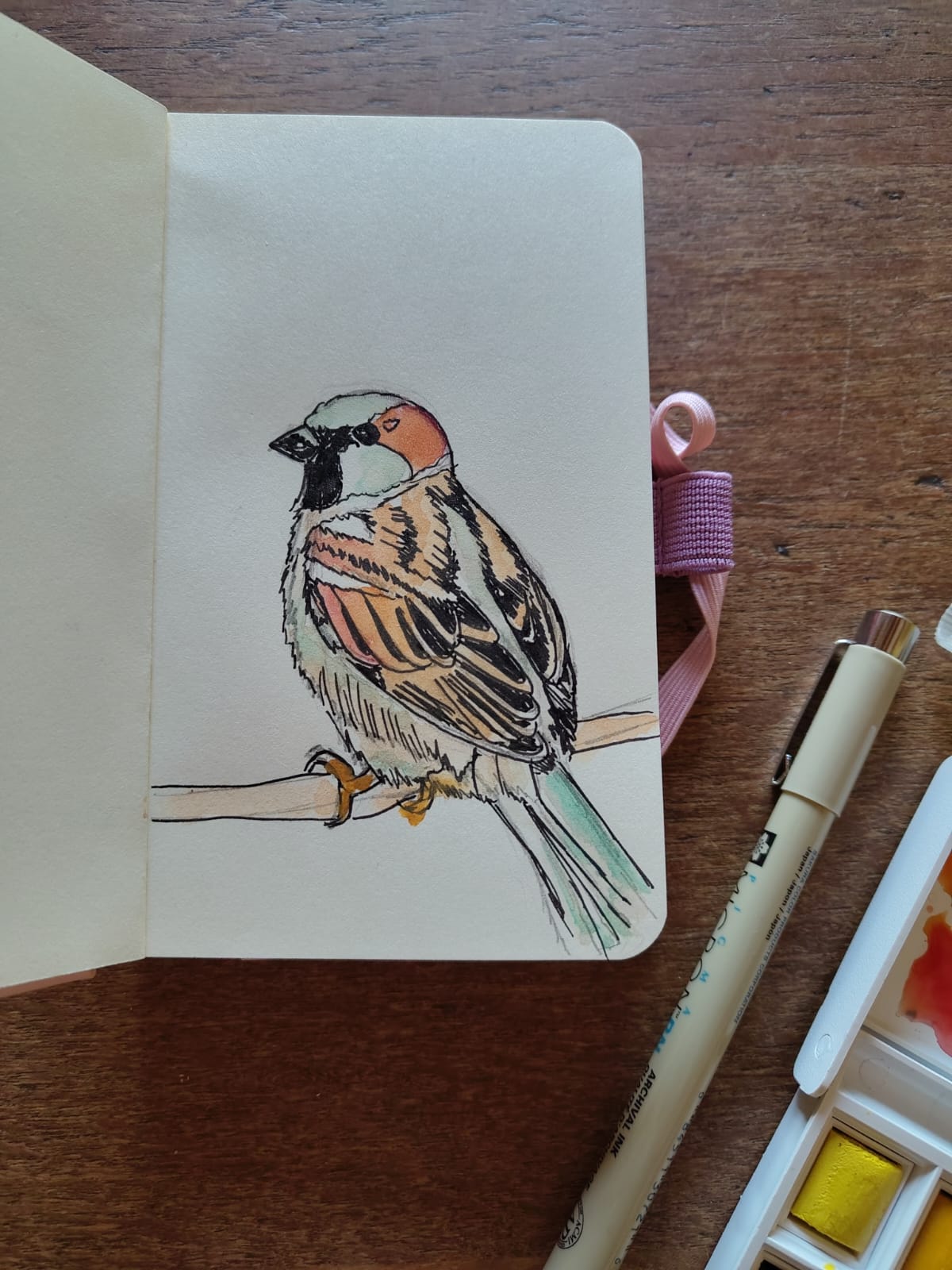 Sparrowdrawing